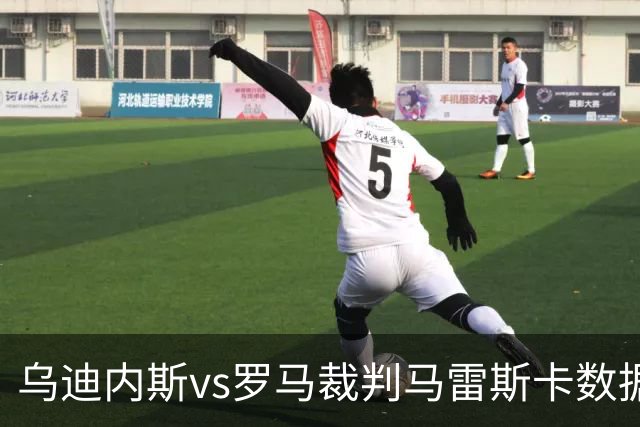 乌迪内斯vs罗马裁判马雷斯卡数据：近20场7红88黄4点