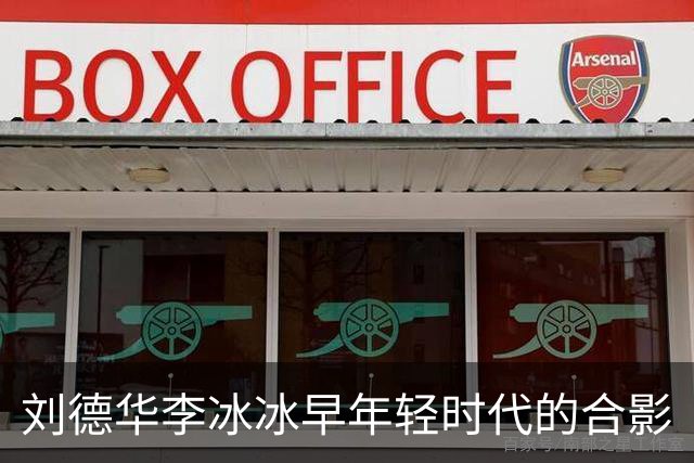 刘德华李冰冰早年轻时代的合影