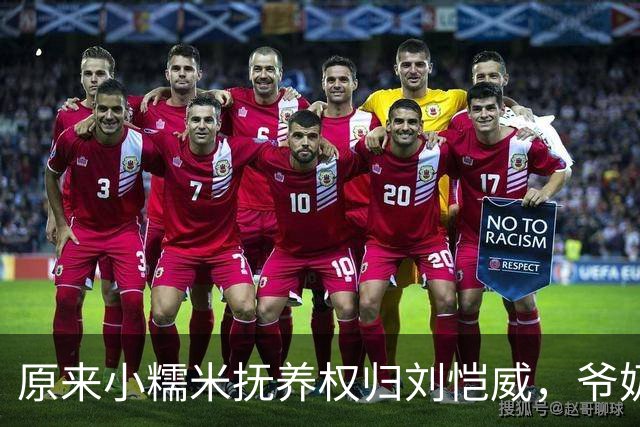 原来小糯米抚养权归刘恺威，爷奶照料，杨幂担心前夫再婚影响女儿