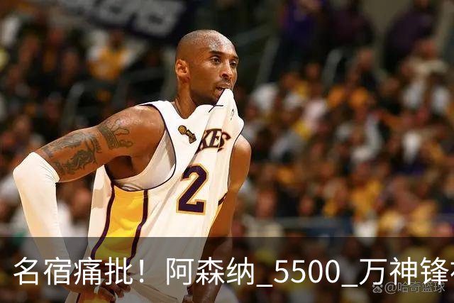 名宿痛批！阿森纳 5500 万神锋被彻底用废！阿尔特塔离谱毁人