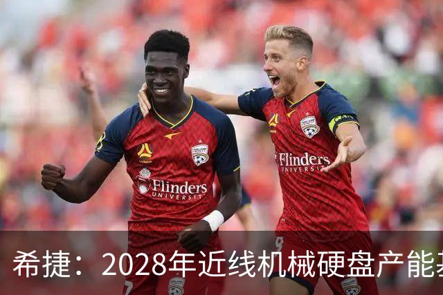 希捷：2028年近线机械硬盘产能基本分配完毕，部分客户协议延长至2030年