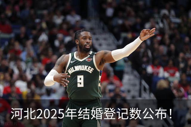 河北2025年结婚登记数公布！