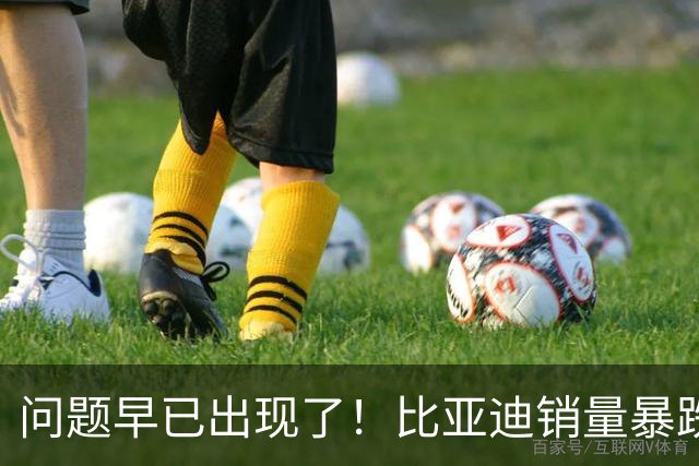 问题早已出现了！比亚迪销量暴跌26%，撕开新能源车最后的遮羞布