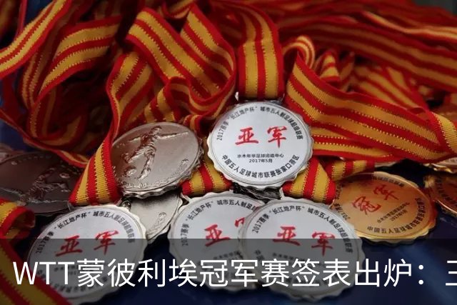 WTT蒙彼利埃冠军赛签表出炉：王曼昱首轮对阵汉娜·高达，孙颖莎对阵卢茨，林诗栋将战林钟勋